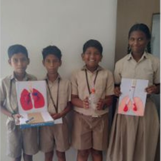 Model making- Human lungs - NMS School